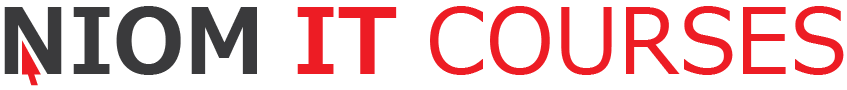 Niom IT Logo